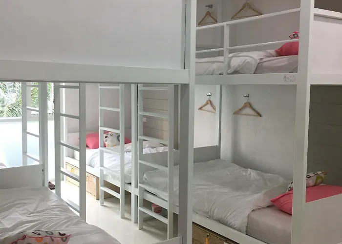 Rabbitat Albergue