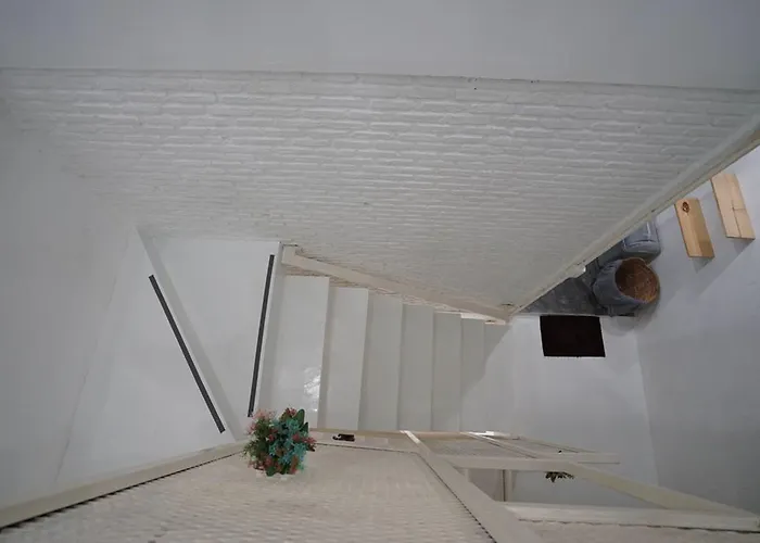 Rabbitat Albergue