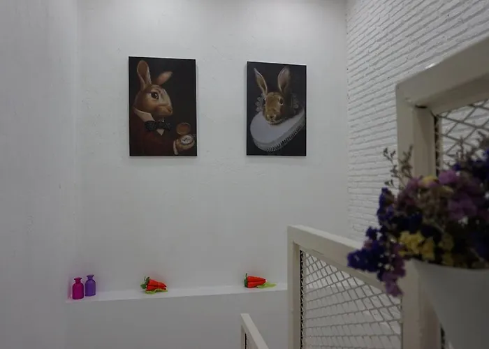 Albergue Rabbitat *