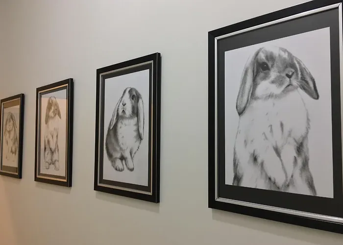 Rabbitat