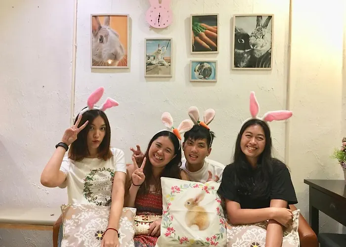 Albergue Rabbitat *