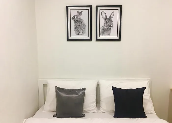 Albergue Rabbitat *