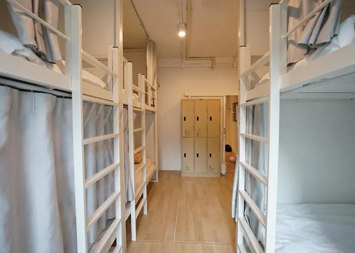 Rabbitat Albergue